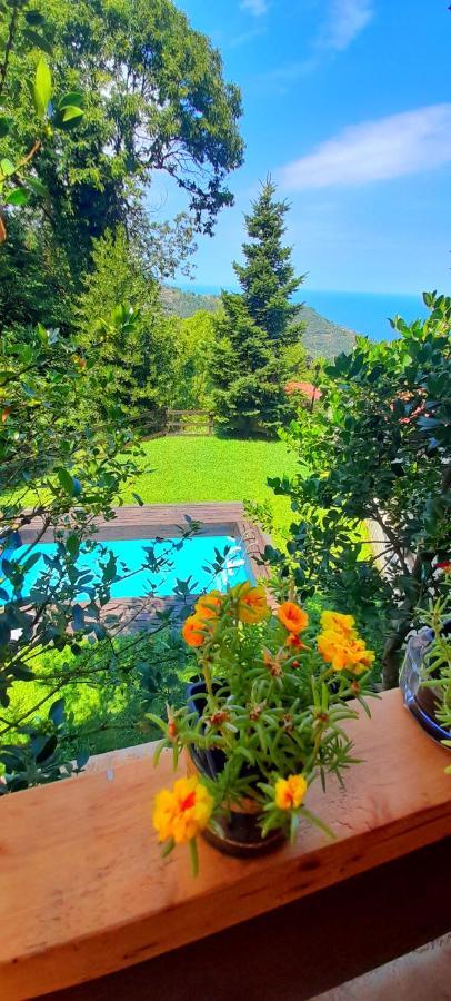 Гостьовий будинок Golden Mountain Anilio Pelion Екстер'єр фото