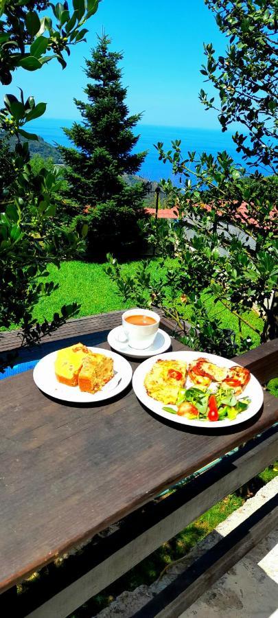 Гостьовий будинок Golden Mountain Anilio Pelion Екстер'єр фото